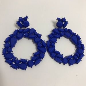 NWOT Jcrew Statement Earrings